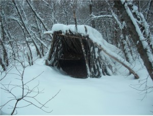 Survival Debris Hut in Winter